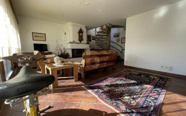 Maison 5.5 pièces - image - 4
