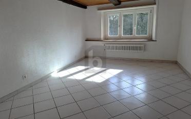 Einfamilienhaus 4.5 Zimmer - image - 3