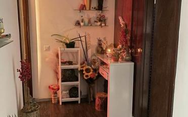 Praxis 2.5 Zimmer - image - 3