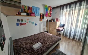 Single house 9 rooms - image - 4