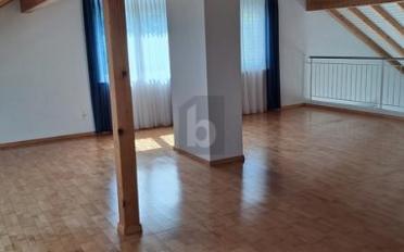 Duplex 5.5 pièces - image - 2