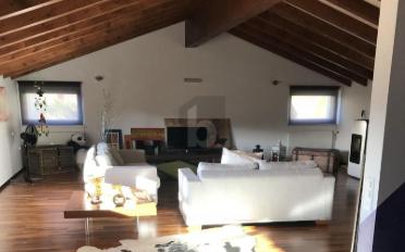 Einfamilienhaus 6.5 Zimmer - image - 3