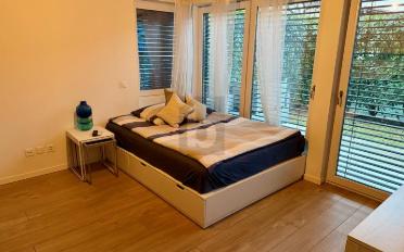 Apartment 1 room - image - 4