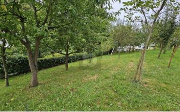 Reihenfamilienhaus 6.5 Zimmer - image - 5