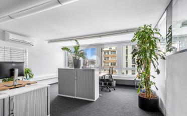 Büro 9 Zimmer - image - 2