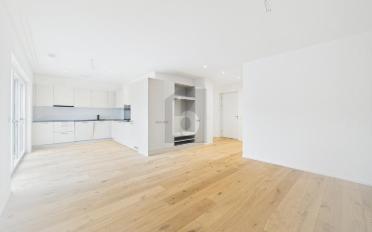 Doppeleinfamilienhaus 4.5 Zimmer - image - 2