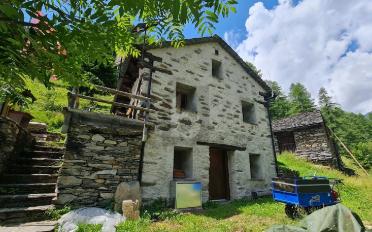 Chalet 3.5 Zimmer - image - 2