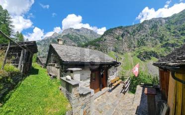 Chalet 3.5 Zimmer - image - 3
