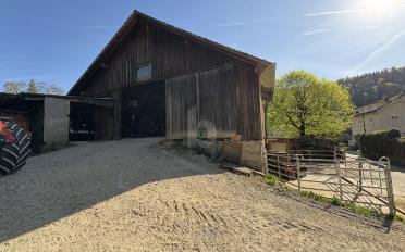 Bauernhaus 8 Zimmer - image - 5