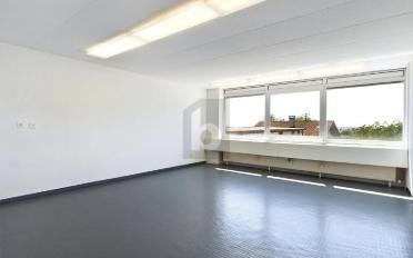 Büro 2 Zimmer - image - 4