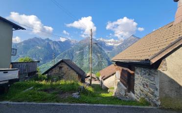 Chalet 3 Zimmer - image - 4
