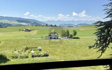 Duplex 7.5 Zimmer - image - 2