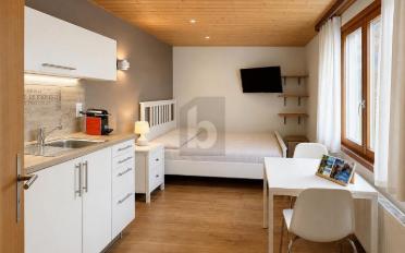 Appartement 1.5 pièces - image - 2