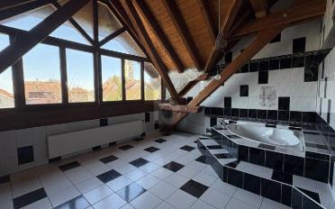 Einfamilienhaus 9.5 Zimmer - image - 3