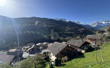 Chalet 7 pièces - image - 2