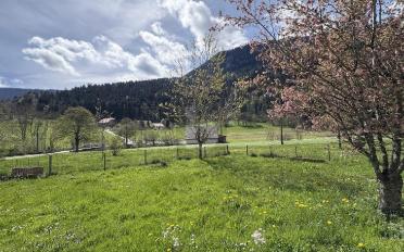 Einfamilienhaus 10 Zimmer - image - 2