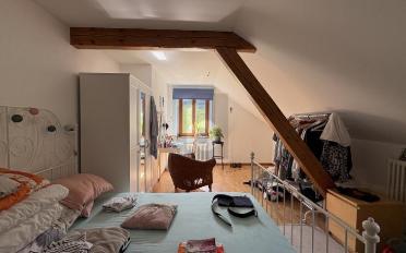 Einfamilienhaus 10 Zimmer - image - 5