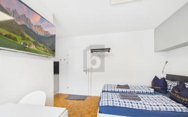 Apartment 1.5 rooms - image - 5