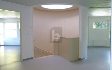 Büro 5 Zimmer - image - 3