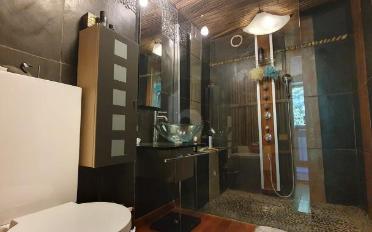 Einfamilienhaus 9.5 Zimmer - image - 5