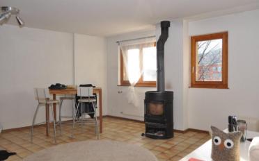 Single house 3.5 rooms - image - 4