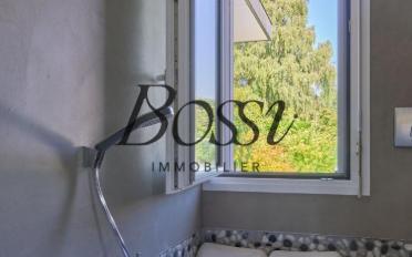 Single house 11 rooms - image - 7