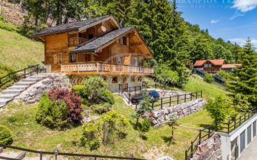 Chalet 8 pièces - image - 2