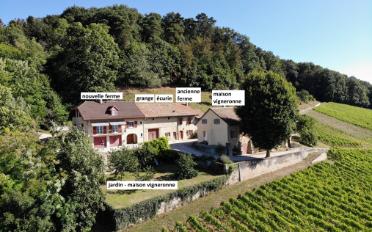 Ferme 20 pièces - image - 3