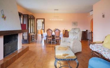 Einfamilienhaus 11 Zimmer - image - 2