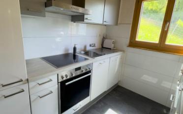 Chalet 4.5 Zimmer - image - 5