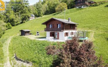 Chalet 4.5 Zimmer - image - 2