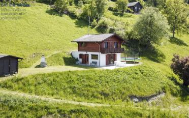 Chalet 4.5 Zimmer - image - 1