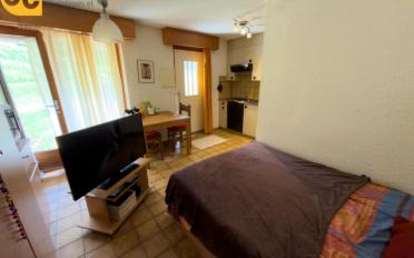 Wohnung ein Zimmer - image - 3