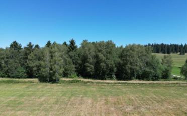 Chalet ein Zimmer - image - 6