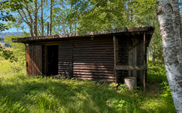 Chalet ein Zimmer - image - 1