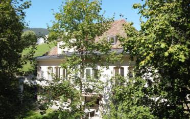 Einfamilienhaus 9.5 Zimmer - image - 3