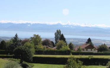Maison 4.5 pièces - image - 9