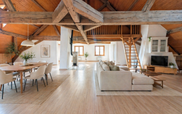 Single house 11 rooms - image - 11