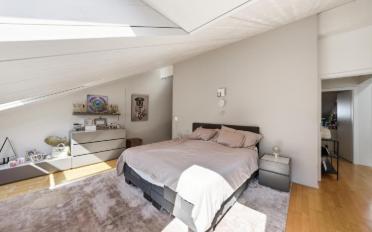 Attic flat 5.5 rooms - image - 10