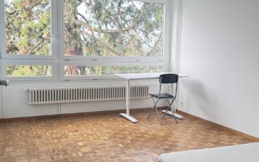 Möbl. Wohnobj. 7.5 Zimmer - image - 6