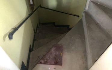 Maison 5.5 pièces - image - 9