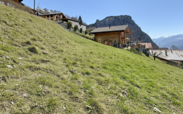 Building land - image - 3