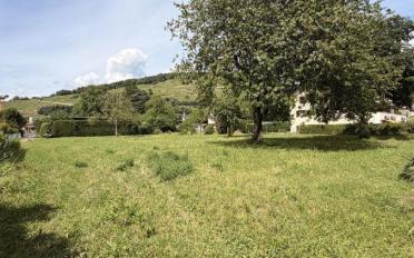 Building land - image - 2