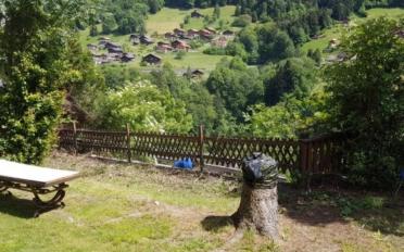 Chalet 6.5 pièces - image - 2