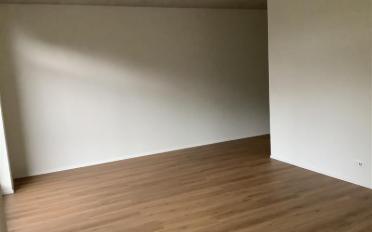 Wohnung 2.5 Zimmer - image - 8
