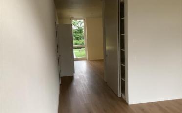 Wohnung 2.5 Zimmer - image - 2