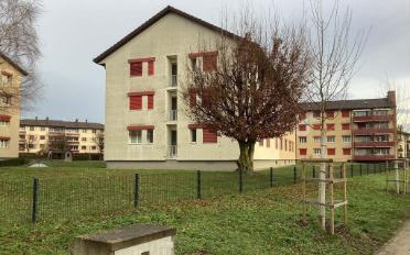 Wohnung ein Zimmer - image - 2