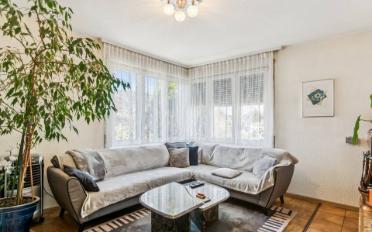 Single house 10.5 rooms - image - 11