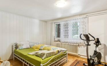 Single house 10.5 rooms - image - 9