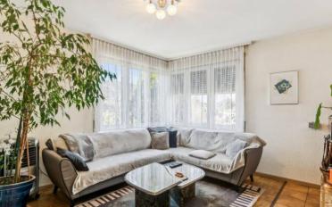 Single house 10.5 rooms - image - 11